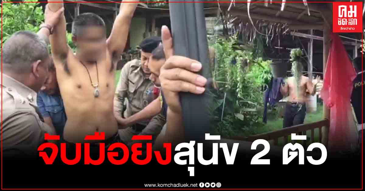 มูลนิธิวอชด็อก แจ้ง ตร.จับหนุ่มกระบี่ หลังยิงสุนัขตาย 2 ตัว รับผิด ทำไปเพราะเห็นแม่เหนื่อยที่ต้องมาดูแล
