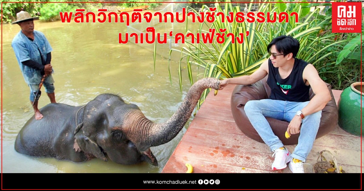 "บอล-อัศนัย" ทึ่งความศักดิ์สิทธิ์ องค์พิฆเนศให้โชค "รางวัลที่ 1" "บอล-อัศนัย" ทึ่งความศักดิ์สิทธิ์ องค์พิฆเนศให้โชค "รางวัลที่ 1"