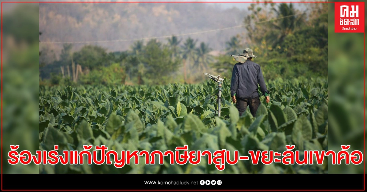 ส.ส. เพชรบูรณ์ร้องสภา เร่งแก้ปัญหาภาษียาสูบ และขยะล้นเขาค้อ ส.ส. เพชรบูรณ์ร้องสภา เร่งแก้ปัญหาภาษียาสูบ และขยะล้นเขาค้อ