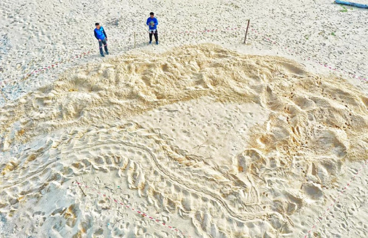 อ.ธรณ์โพสต์ภาพสุดฮือฮา เต่ามะเฟืองวางไข่รังที่ 7 ลุ้นทุบสถิติ ความมหัศจรรย์ของเต่าใหญ่ที่สุดในโลก