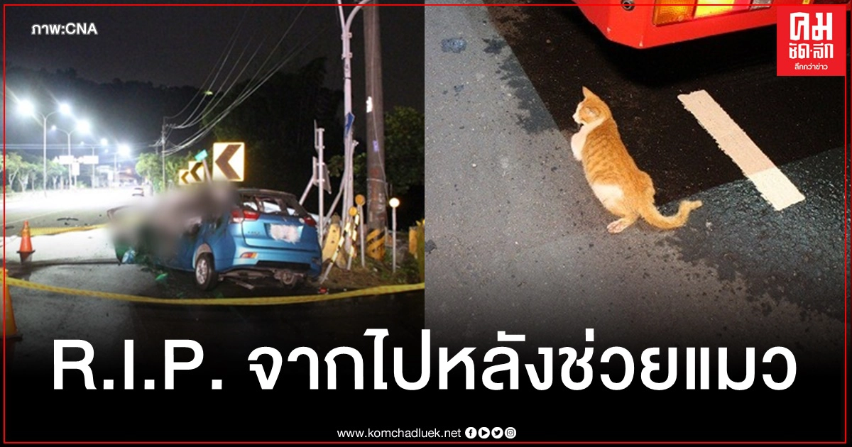 หนุ่มรักสัตว์บึ่งช่วยแมวจรบาดเจ็บแถบภูเขา ขากลับรถชน-ไฟไหม้เสียชีวิต แมวรอด หนุ่มรักสัตว์บึ่งช่วยแมวจรบาดเจ็บแถบภูเขา ขากลับรถชน-ไฟไหม้เสียชีวิต แมวรอด