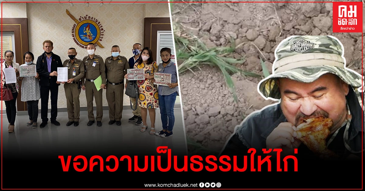ภาคีสวัสดิภาพสัตว์ร้อง ผบ.ตร. ขอความเป็นธรรมให้ไก่ กรณีคลิปหม่อมถนัดแดกฝังดินทั้งเป็น