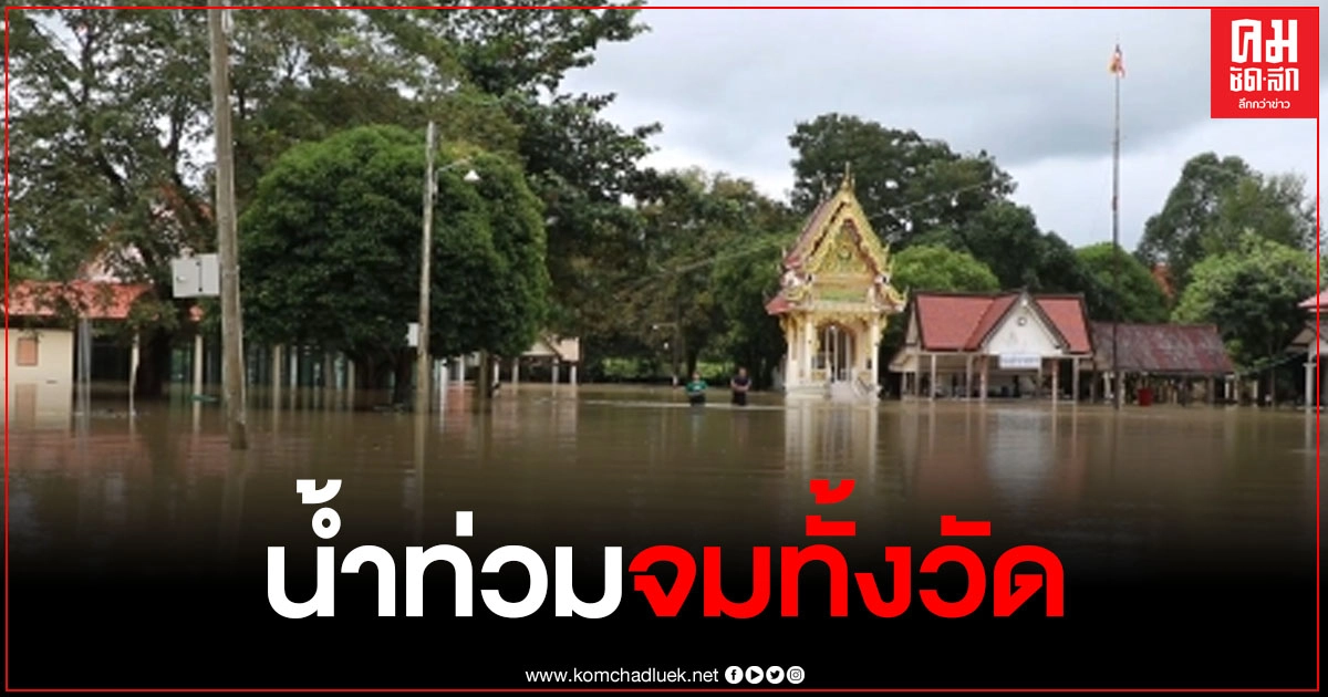 พระสงฆ์วัดคลองคล้า ในอ.ควนเนียง จ.สงขลา ถูกน้ำท่วมจมทั้งวัดลึกกว่า 1 เมตร ชาวบ้านต้องนำอาหารไปถวาย พระสงฆ์วัดคลองคล้า ในอ.ควนเนียง จ.สงขลา ถูกน้ำท่วมจมทั้งวัดลึกกว่า 1 เมตร ชาวบ้านต้องนำอาหารไปถวาย