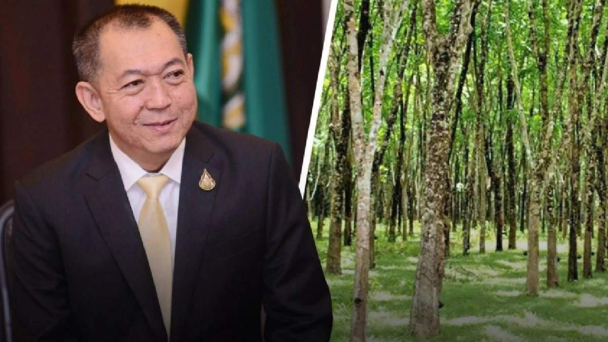 ชาวสวนยางเฮ นายกฯไฟเขียวประกันรายได้1.8 ล้านราย ทั้งบัตรเขียว บัตรชมพู