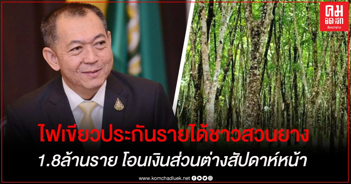ชาวสวนยางเฮ นายกฯไฟเขียวประกันรายได้1.8 ล้านราย ทั้งบัตรเขียว บัตรชมพู ชาวสวนยางเฮ นายกฯไฟเขียวประกันรายได้1.8 ล้านราย ทั้งบัตรเขียว บัตรชมพู