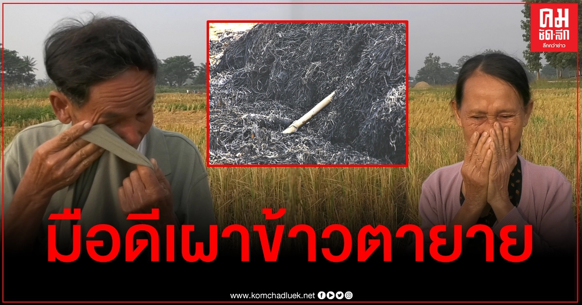 จิตใจทำด้วยอะไร ตายายร่ำไห้กลางนา ข้าว 2 กองใหญ่ถูกมือดีจุดไฟเผาเสียหาย จิตใจทำด้วยอะไร ตายายร่ำไห้กลางนา ข้าว 2 กองใหญ่ถูกมือดีจุดไฟเผาเสียหาย
