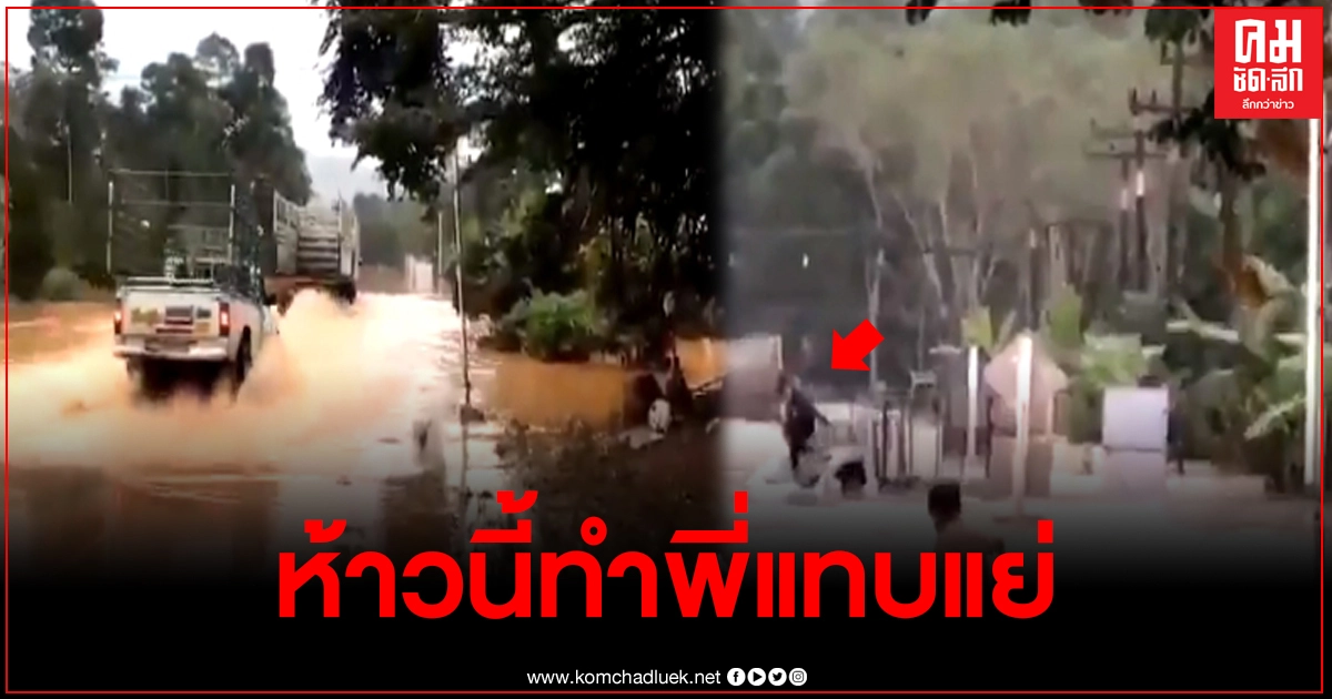 ทำห้าว กระบะเร่งเครื่องแรงลุยน้ำท่วม สุดท้ายไปไม่รอด กระโดดหนีสุดชีวิต ทำห้าว กระบะเร่งเครื่องแรงลุยน้ำท่วม สุดท้ายไปไม่รอด กระโดดหนีสุดชีวิต