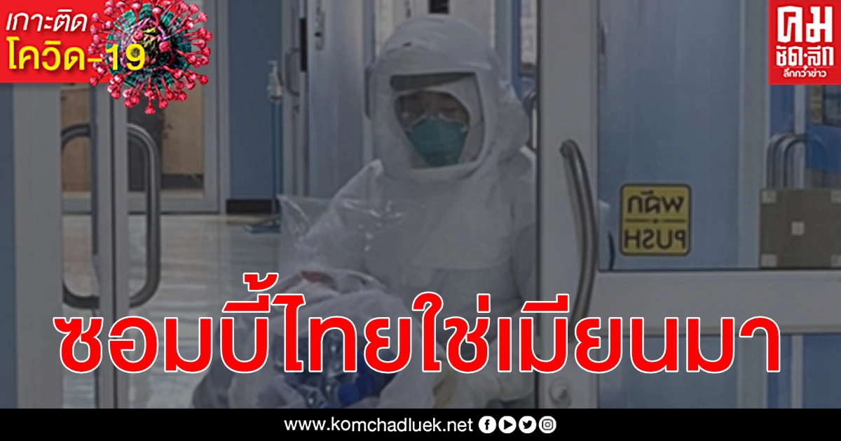 โควิด-19 ระบาดหนักแต่ซอมบี้เมียนมาไม่มี สุดท้ายคนไทยในประเทศทำร้ายกันเองน่าเศร้ามาก โควิด-19 ระบาดหนักแต่ซอมบี้เมียนมาไม่มี สุดท้ายคนไทยในประเทศทำร้ายกันเองน่าเศร้ามาก
