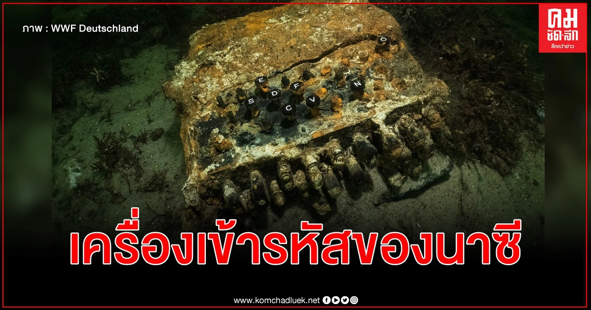 ทีมดำน้ำเยอรมนีค้นพบอีนิกมา เครื่องเข้ารหัสในตำนานกองทัพนาซี พื้นทะเลบอลติก ทีมดำน้ำเยอรมนีค้นพบอีนิกมา เครื่องเข้ารหัสในตำนานกองทัพนาซี พื้นทะเลบอลติก