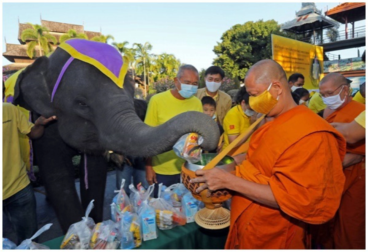 'สวนนงนุชพัทยา' ยึดหลักพอเพียง นำช้างแสนรู้ทำบุญ ถวายในหลวงรัชกาลที่ 9