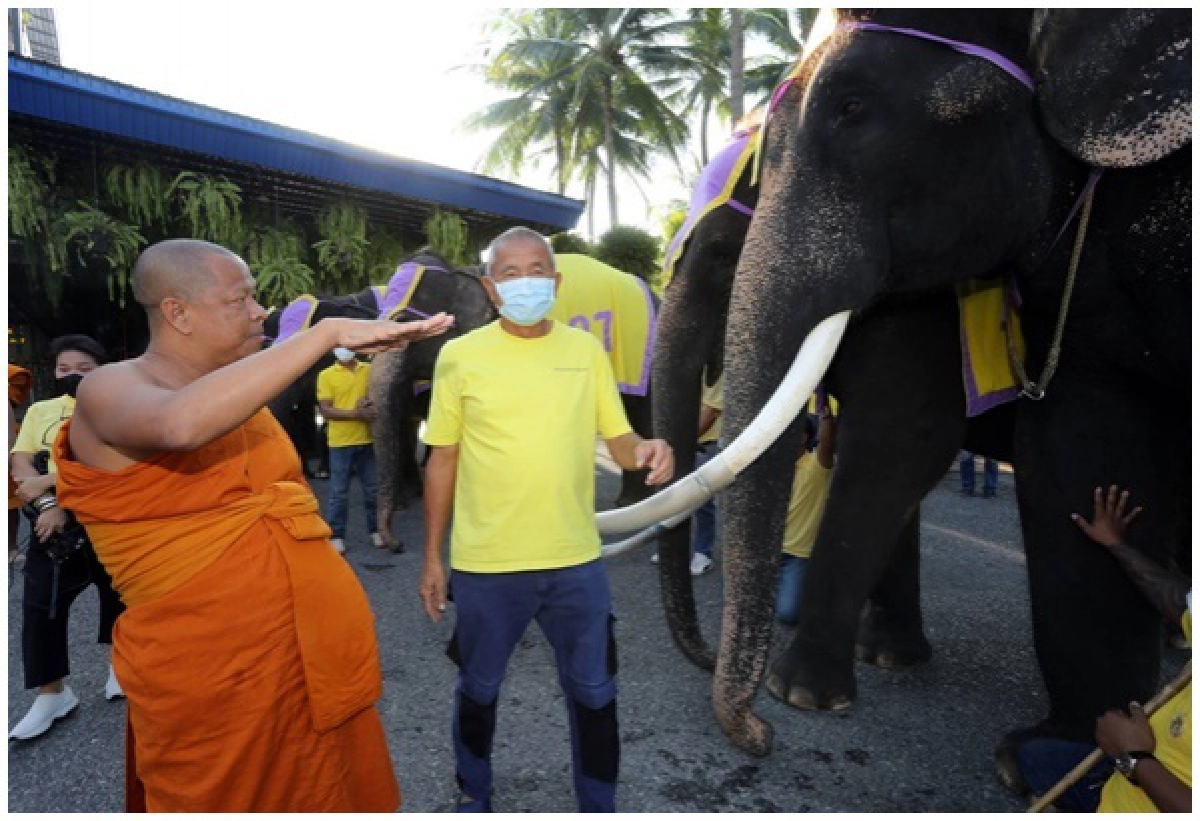 'สวนนงนุชพัทยา' ยึดหลักพอเพียง นำช้างแสนรู้ทำบุญ ถวายในหลวงรัชกาลที่ 9