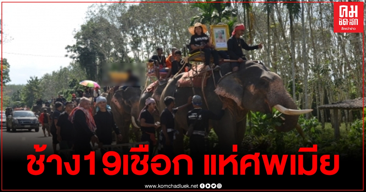 ฮือฮา ลุงเหม เสี่ยเจ้าของฟาร์มช้าง นำขบวนช้าง 19 เชือก แห่ศพเมียเข้าวัด ฮือฮา ลุงเหม เสี่ยเจ้าของฟาร์มช้าง นำขบวนช้าง 19 เชือก แห่ศพเมียเข้าวัด