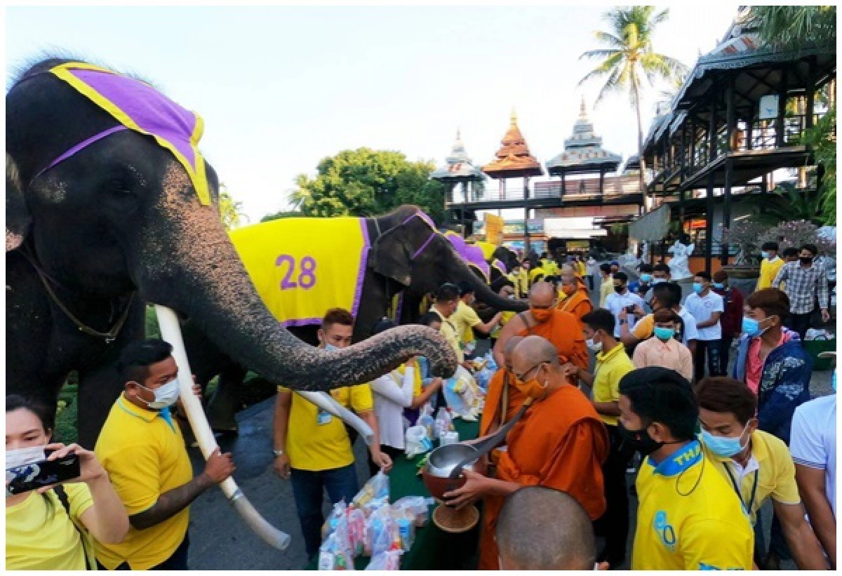 'สวนนงนุชพัทยา' ยึดหลักพอเพียง นำช้างแสนรู้ทำบุญ ถวายในหลวงรัชกาลที่ 9