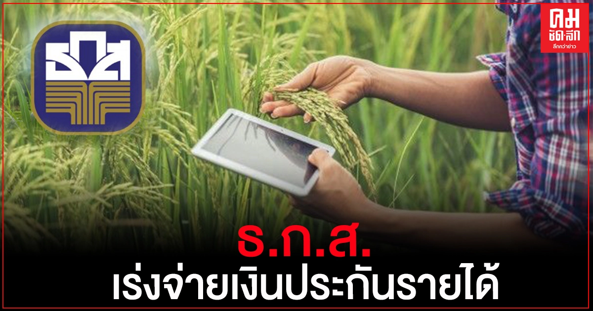 "ธกส." เร่งจ่ายประกันรายได้เสริมสภาพคล่องก่อนปีใหม่ เริ่ม 9 ธ.ค.นี้ "ธกส." เร่งจ่ายประกันรายได้เสริมสภาพคล่องก่อนปีใหม่ เริ่ม 9 ธ.ค.นี้
