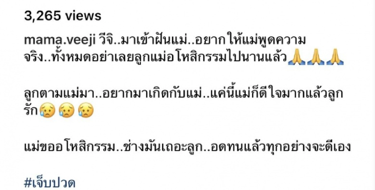 "ติ๊ก บิ๊กบราเธอร์" ทนความคิดถึงไม่ไหว เก็บไปฝันถึงน้องวีจิ ลูกบอกอยากให้แม่พูดความจริง