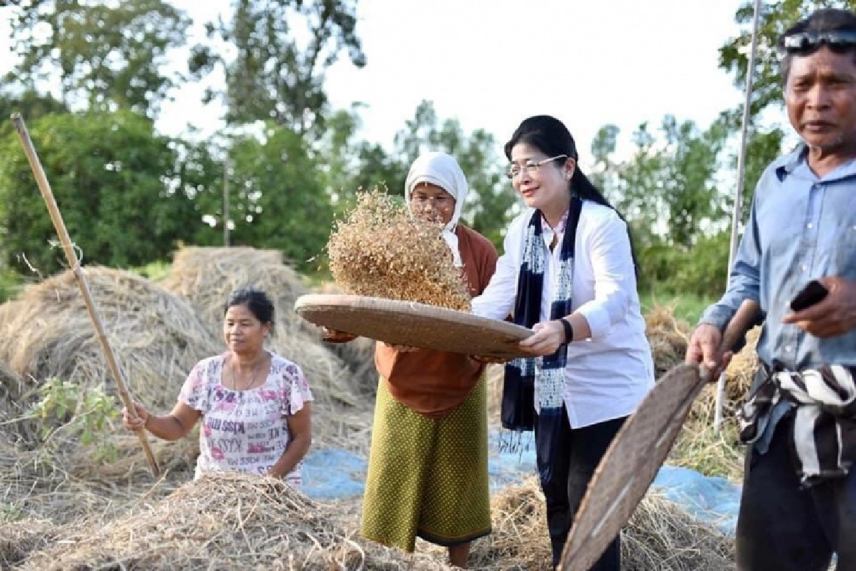 โหน อบจ.'หน่อย' ปูทาง สร้างพรรคใหม่