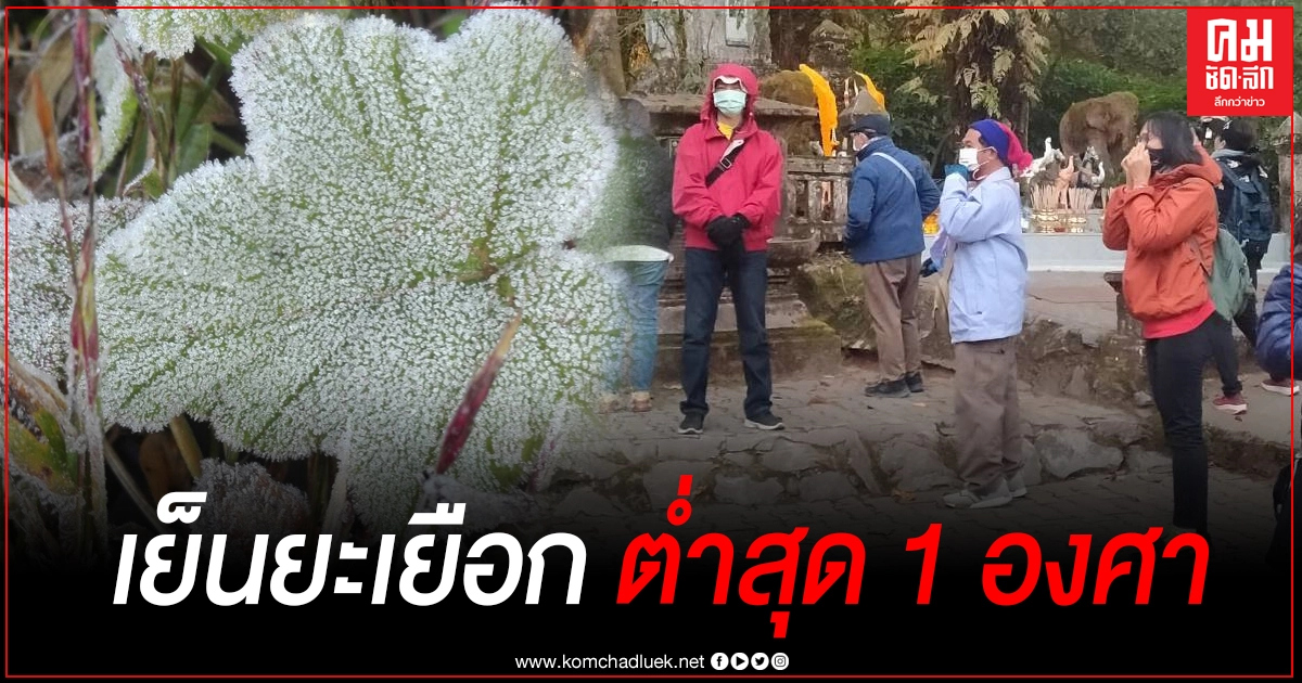 เชียงใหม่ "ดอยอินทนนท์"เย็นยะเยือก เกิดเหมยขาบต่อเนื่อง อุณหภูมิยอดหญ้าติดลบ เชียงใหม่ "ดอยอินทนนท์"เย็นยะเยือก เกิดเหมยขาบต่อเนื่อง อุณหภูมิยอดหญ้าติดลบ