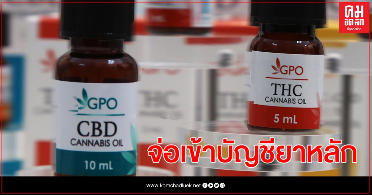 'กัญชา' ใน 4 กลุ่มโรค จ่อดันขึ้นบัญชียาหลักแห่งชาติ