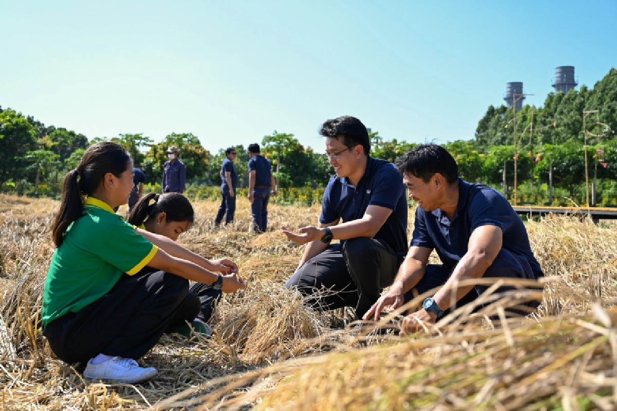  "กัลฟ์"  ร่วม  "สืบสานวิถีชาวนาไทย ร่วมใจลงแขกเกี่ยวข้าว"