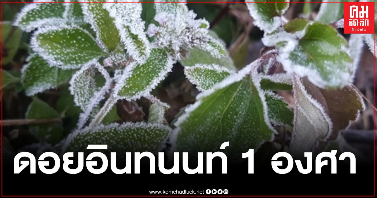 ดอยอินทนนท์หนาว 1 องศา ชาวบ้านเจอผลกระทบภัยหนาวแล้ว