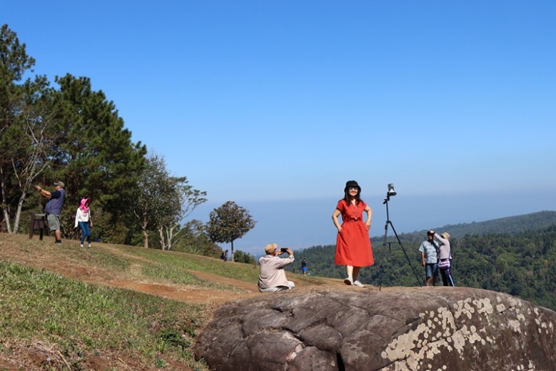 'ดอกกระดาษ' บานแล้วเต็มทุ่ง หนึ่งเดียวบนภูหินร่องกล้า 