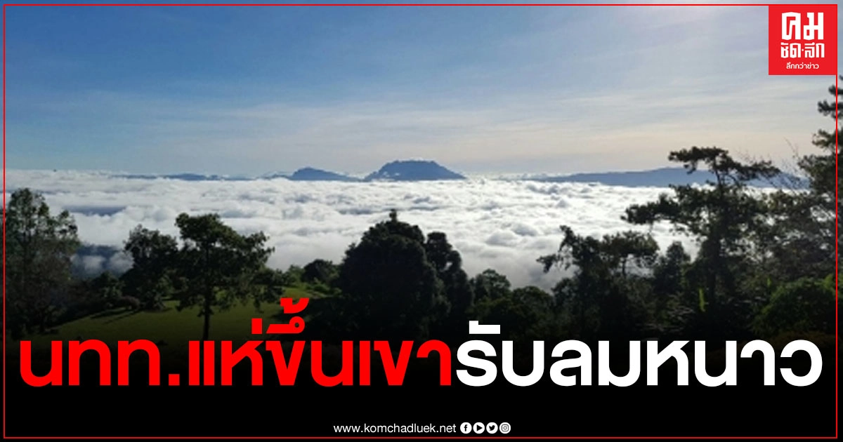 เชียงใหม่-แม่ฮ่องสอน ยังไม่มีคำสั่งปิดอุทยาน แต่เข้มงวด หยุดยาวหลายวัน นทท.แห่ขึ้นเขา เพื่อหลีกเลี่ยงโควิด-19 เชียงใหม่-แม่ฮ่องสอน ยังไม่มีคำสั่งปิดอุทยาน แต่เข้มงวด หยุดยาวหลายวัน นทท.แห่ขึ้นเขา เพื่อหลีกเลี่ยงโควิด-19