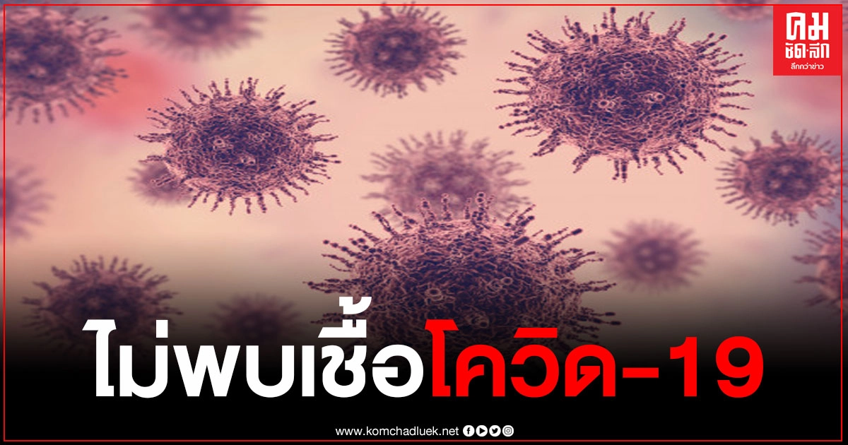 หญิงเชียงใหม่ มาคอนเสิร์ตที่โคราช เผยป่วยกล้ามเนื้ออ่อนแรง ไม่พบเชื้อผลโควิด-19