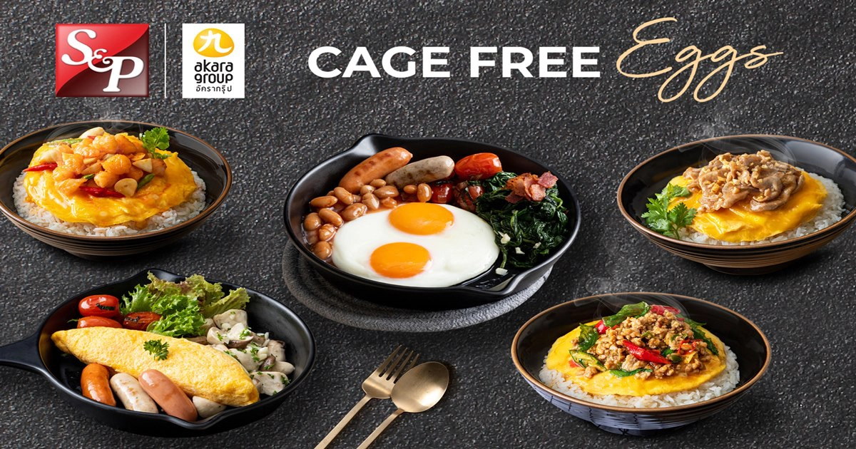 "เอส แอนด์ พี" ตระหนักถึงสวัสดิภาพสัตว์  คัดสรรไข่ไก่สด สะอาด ปลอดภัย จากแม่ไก่อารมณ์ดี