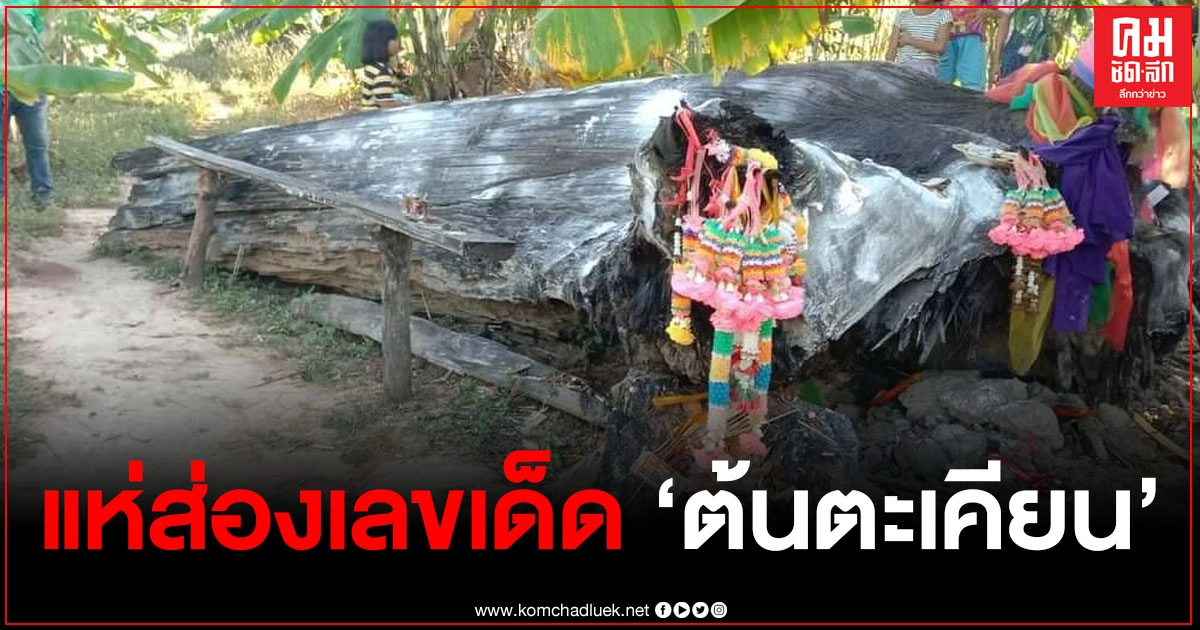 คอหวยแห่ส่องเลขเด็ด "ต้นตะเคียนทองใต้น้ำท่อนที่ 3" หลังคนขับรถแบคโฮฝัน เผยมีชาวบ้าน โชคดีถูกรางวัลไปหลายราย คอหวยแห่ส่องเลขเด็ด "ต้นตะเคียนทองใต้น้ำท่อนที่ 3" หลังคนขับรถแบคโฮฝัน เผยมีชาวบ้าน โชคดีถูกรางวัลไปหลายราย