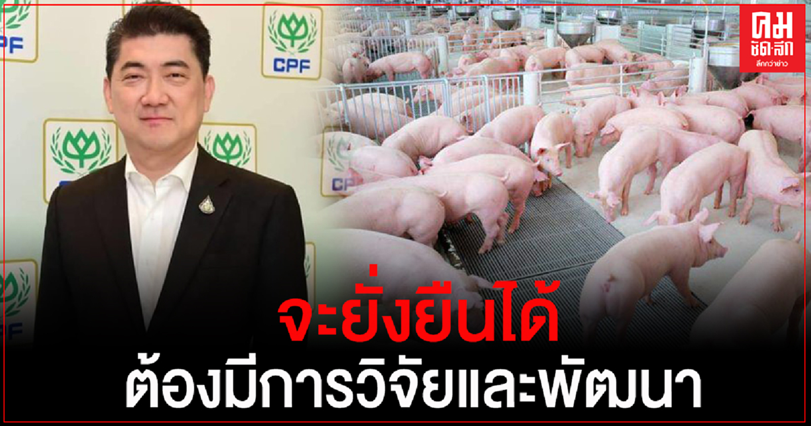 "ซีพีเอฟ"ทุ่มวิจัยพัฒนาการเลี้ยงสุกรเพื่อการเติบโตของอุตสาหกรรมอย่างยั่งยืน
