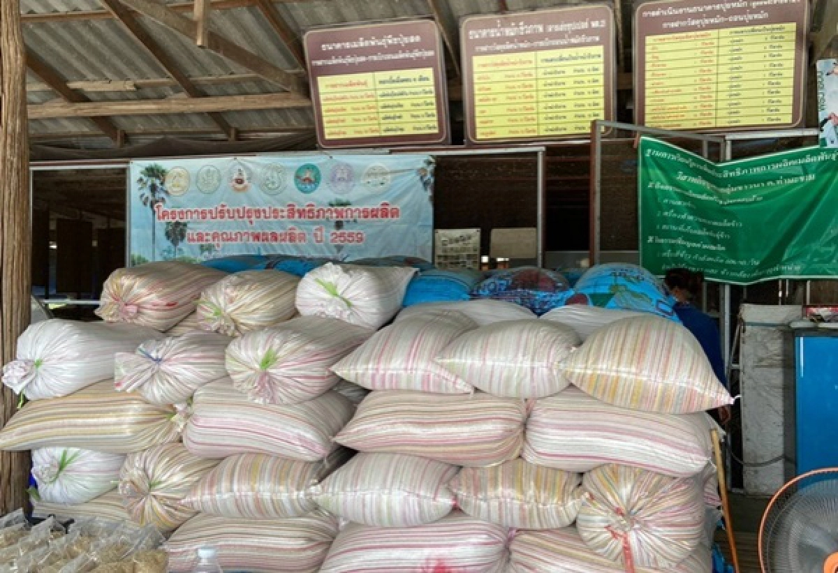 ''กรมการข้าว'' นำสื่อเยี่ยมชมนาแปลงใหญ่ศูนย์ข้าวชุมชน ต.ท่ามะขาม จ.กาญจนบุรี เยี่ยมชมวิถีเกษตรกร
