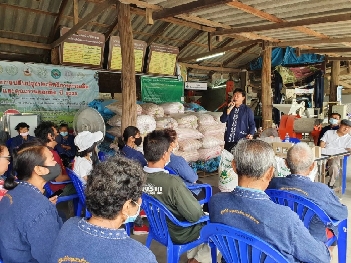 ''กรมการข้าว'' นำสื่อเยี่ยมชมนาแปลงใหญ่ศูนย์ข้าวชุมชน ต.ท่ามะขาม จ.กาญจนบุรี เยี่ยมชมวิถีเกษตรกร