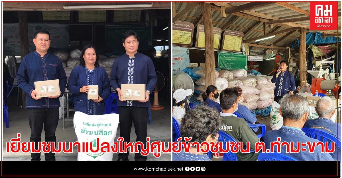 ''กรมการข้าว'' นำสื่อเยี่ยมชมนาแปลงใหญ่ศูนย์ข้าวชุมชน ต.ท่ามะขาม จ.กาญจนบุรี เยี่ยมชมวิถีเกษตรกร ''กรมการข้าว'' นำสื่อเยี่ยมชมนาแปลงใหญ่ศูนย์ข้าวชุมชน ต.ท่ามะขาม จ.กาญจนบุรี เยี่ยมชมวิถีเกษตรกร