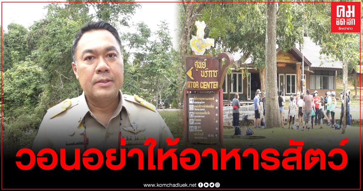 นักท่องเที่ยวแห่เที่ยวเขาใหญ่ หน.อุทยานวอน อย่าให้อาหารสัตว์และนำขยะกลับลงมาด้วย นักท่องเที่ยวแห่เที่ยวเขาใหญ่ หน.อุทยานวอน อย่าให้อาหารสัตว์และนำขยะกลับลงมาด้วย