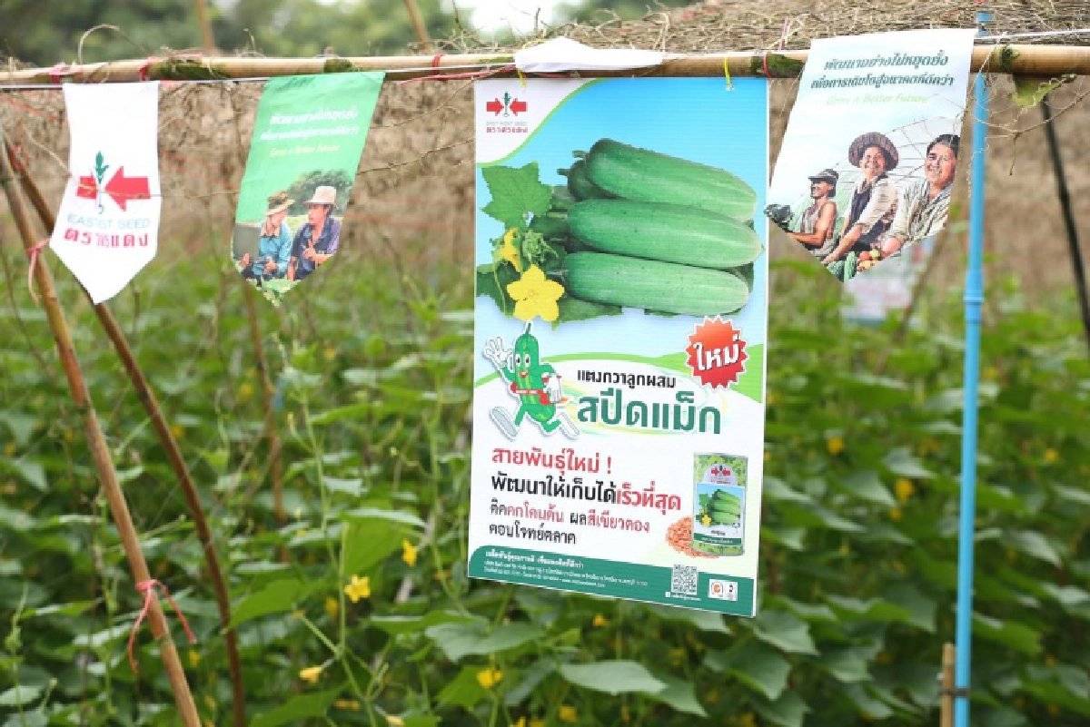 อีสท์ เวสท์ ซีด เผย 3 ปัจจัยก้าวสู่เบอร์1ตลาดธุรกิจเมล็ดพันธุ์ ปี2563