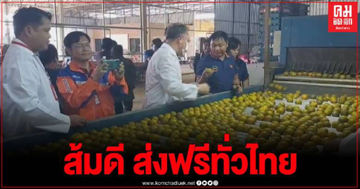 สุโขทัย เปิดตลาดส้มแม่สิน สดใหม่ ปลอดภัย ไร้สารพิษ (GAP) ไปรษณีย์ส่งฟรีทั่วประเทศ สุโขทัย เปิดตลาดส้มแม่สิน สดใหม่ ปลอดภัย ไร้สารพิษ (GAP) ไปรษณีย์ส่งฟรีทั่วประเทศ