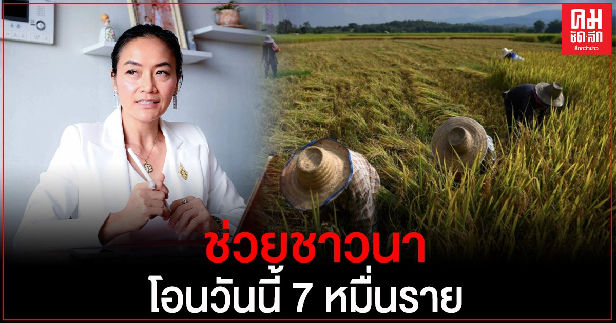ช่วยชาวนา โอนเงินประกันรายได้เกษตรกร งวดที่ 6 วันนี้ รับอีก 7 หมื่นราย ช่วยชาวนา โอนเงินประกันรายได้เกษตรกร งวดที่ 6 วันนี้ รับอีก 7 หมื่นราย