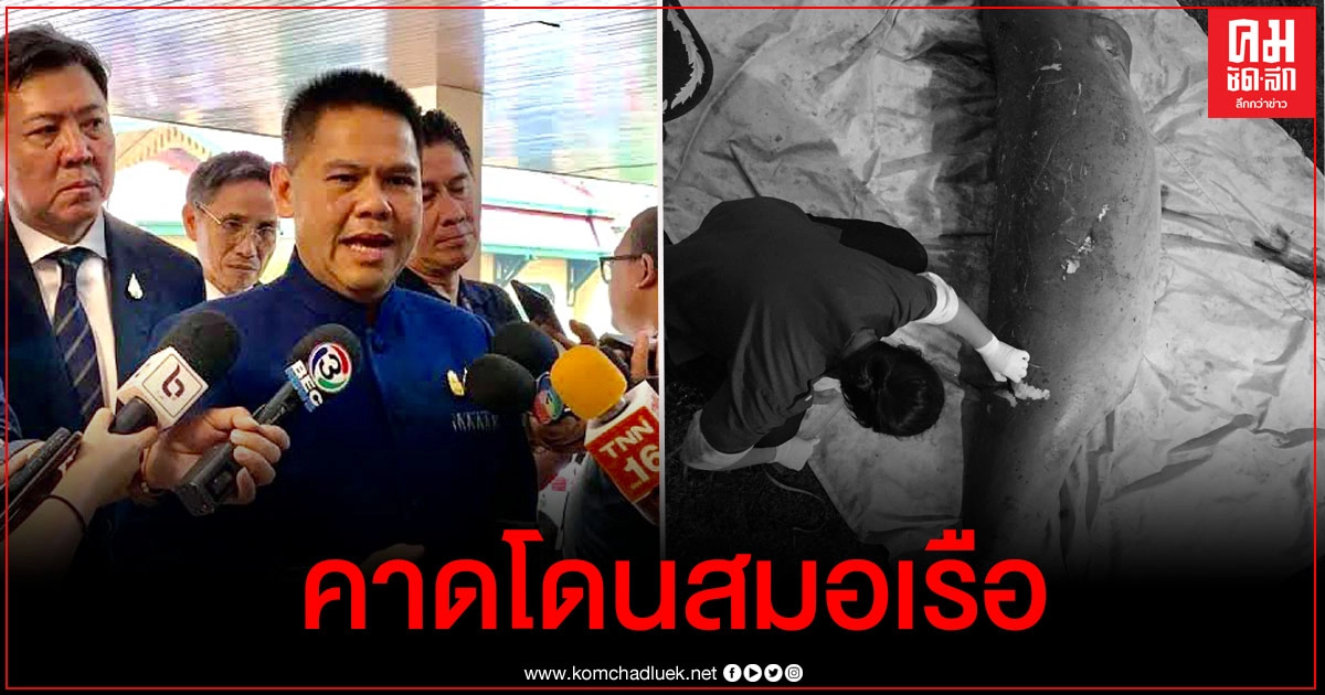 สะเทือนใจ "วราวุธ"สั่งตรวจสอบด่วน พะยูนท้องแก่เสียชีวิต คาดโดนสมอเรือ สะเทือนใจ "วราวุธ"สั่งตรวจสอบด่วน พะยูนท้องแก่เสียชีวิต คาดโดนสมอเรือ