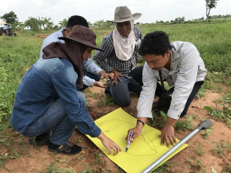 ความสำเร็จ เทศบาลต.บัลลังก์ สู่สมาร์ทฟาร์มเมอร์ ปลูกข้าวโพดยั่งยืน