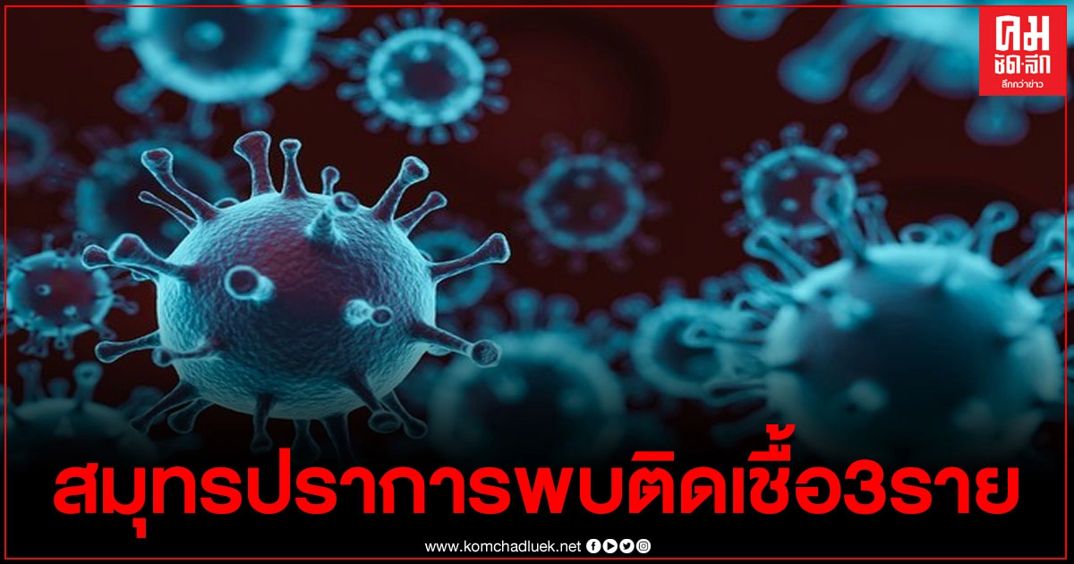 ด่วน จังหวัดสมุทรปราการ พบผู้ติดเชื้อ3ราย เป็นคนขายหอยแครง ด่วน จังหวัดสมุทรปราการ พบผู้ติดเชื้อ3ราย เป็นคนขายหอยแครง