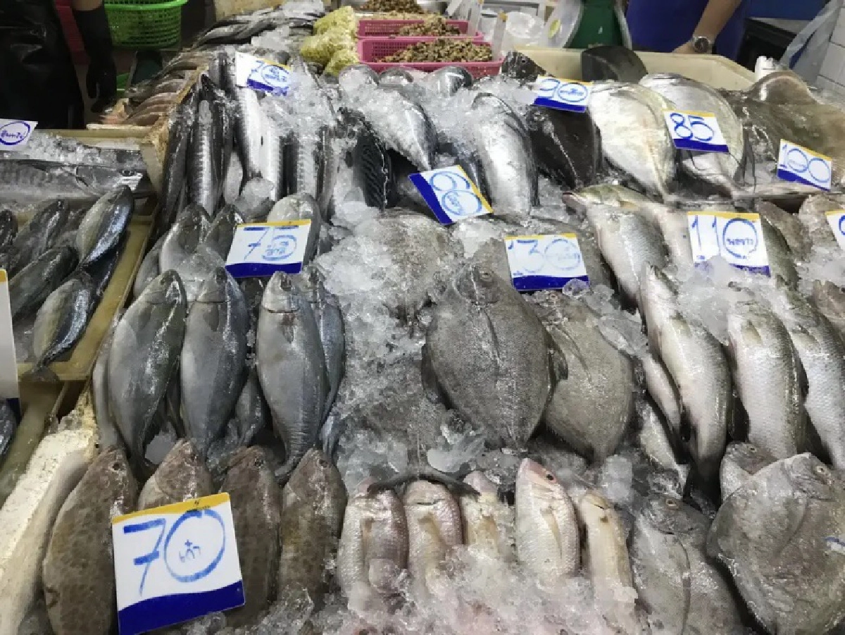 DITP สั่งทูตพาณิชย์ เร่งชี้แจงผู้ซื้อ ผู้นำเข้า สินค้าทะเลไทยมีคุณภาพมาตรฐาน ปลอดโควิด-19