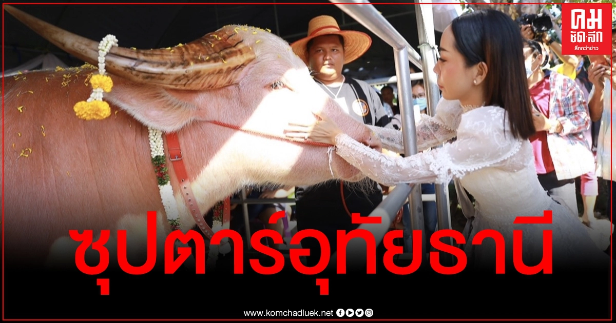 อลังการ "หนึ่ง บางปู" จัดงาน Big Buffalo Music Festival