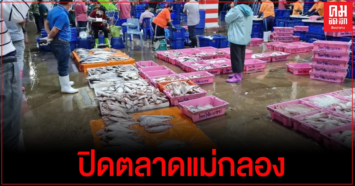 ประกาศปิดตลาดปลาแม่กลอง 14 วัน หลังพบผู้ติดเชื้อเพิ่ม ประกาศปิดตลาดปลาแม่กลอง 14 วัน หลังพบผู้ติดเชื้อเพิ่ม