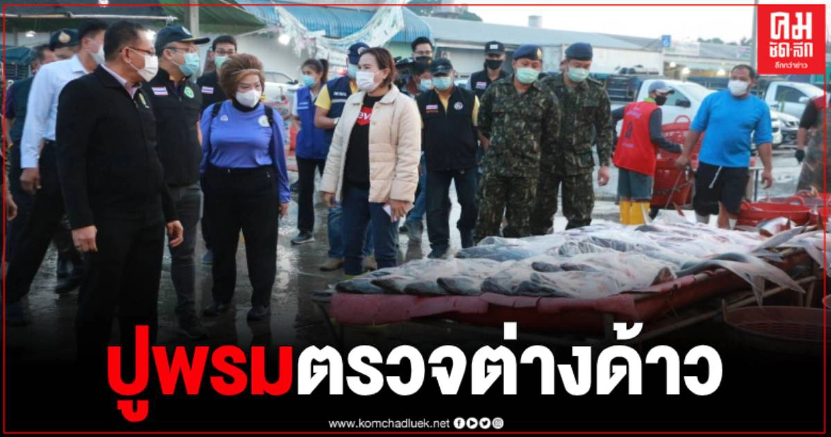 นครปฐมเพิ่มมาตรการเชิงรุก ปูพรมตรวจต่างด้าวในตลาดกลางปลาน้ำจืดบางเลน