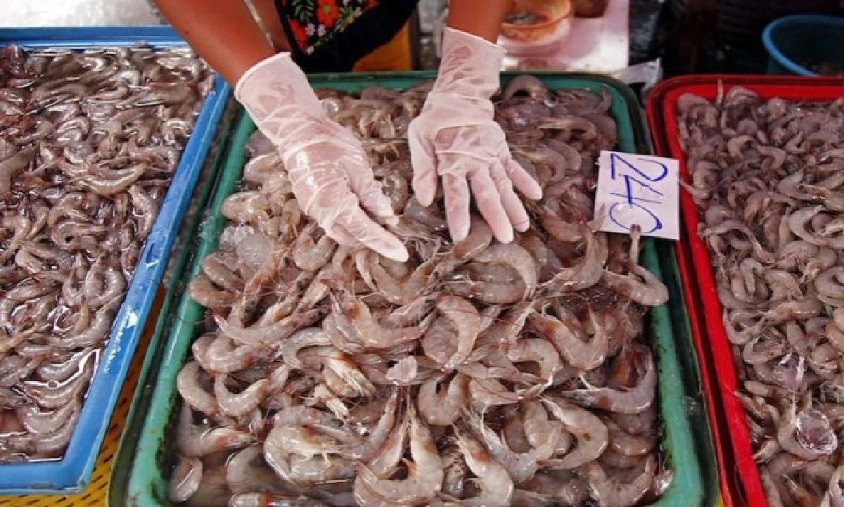 DITP สั่งทูตพาณิชย์ เร่งชี้แจงผู้ซื้อ ผู้นำเข้า สินค้าทะเลไทยมีคุณภาพมาตรฐาน ปลอดโควิด-19