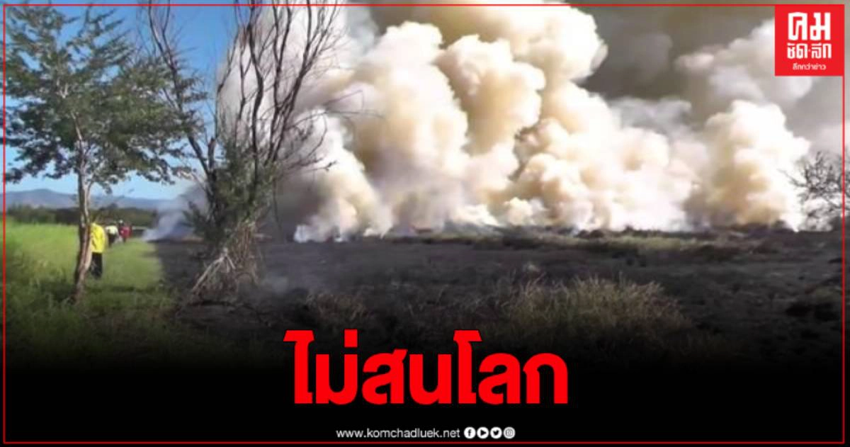 ชาวนาเพชรบูรณ์ ไม่สน PM 2.5 จุดไฟเผานาเหมือนเดิม บอกผู้ใหญ่บ้านอนุญาต ชาวนาเพชรบูรณ์ ไม่สน PM 2.5 จุดไฟเผานาเหมือนเดิม บอกผู้ใหญ่บ้านอนุญาต