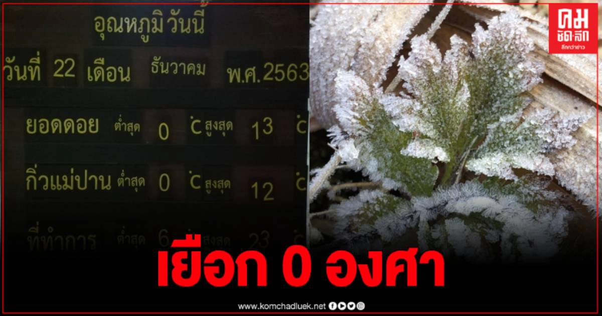 ดอยอินทนนท์ เช้านี้ศูนย์องศา เหมยขาบ แม่คะนิ้ง ขาวโพลน ดอยอินทนนท์ เช้านี้ศูนย์องศา เหมยขาบ แม่คะนิ้ง ขาวโพลน