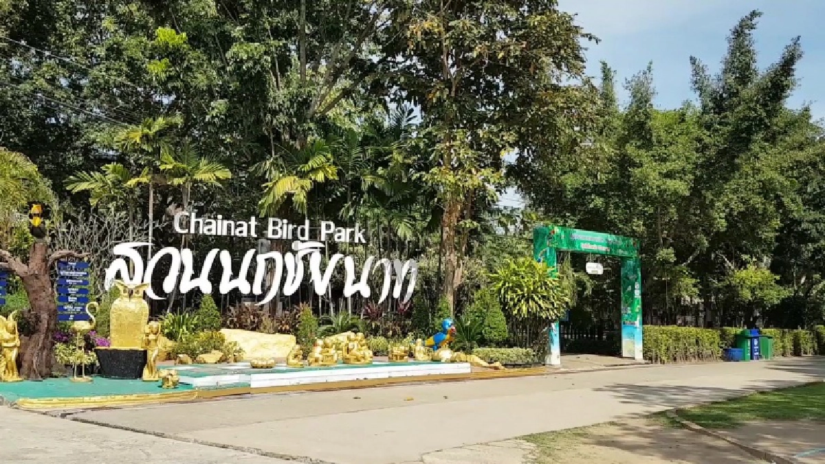 ผู้ว่าฯชัยนาท สั่งปิดสวนนก ตลาดนัด โรงเรียนทั้งจังหวัด ติดเชื้อแล้ว 6 รอผลอีก 5 ราย