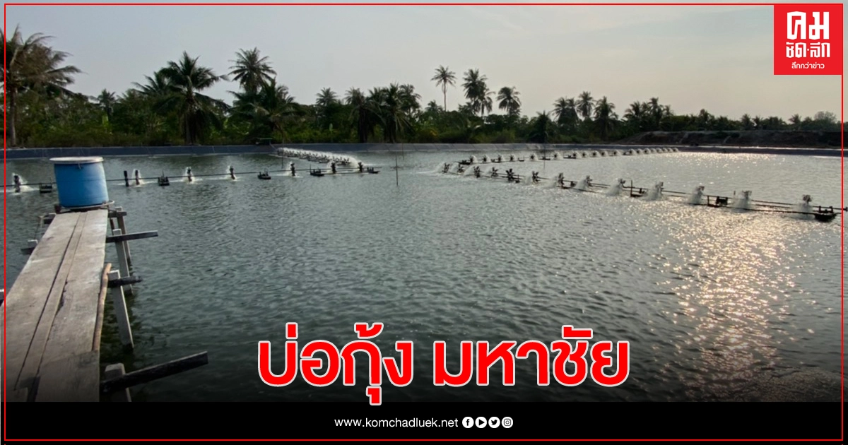 ฟังเสียงพ่อค้ากุ้งมหาชัย โอดเศรษฐกิจพังหมื่นล้าน เพราะโควิด-19