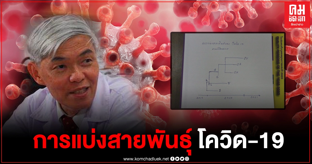 "หมอยง" เผยข้อมูลสำคัญ "โควิด-19" จากสมุทรสาคร-พม่า คือสายพันธุ์ GH "หมอยง" เผยข้อมูลสำคัญ "โควิด-19" จากสมุทรสาคร-พม่า คือสายพันธุ์ GH